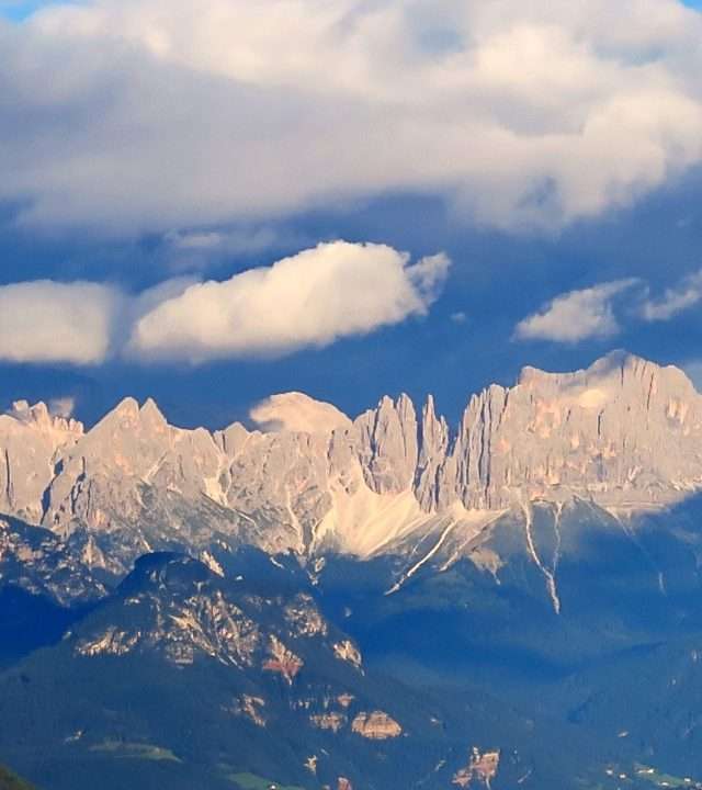 The Rosengarten group