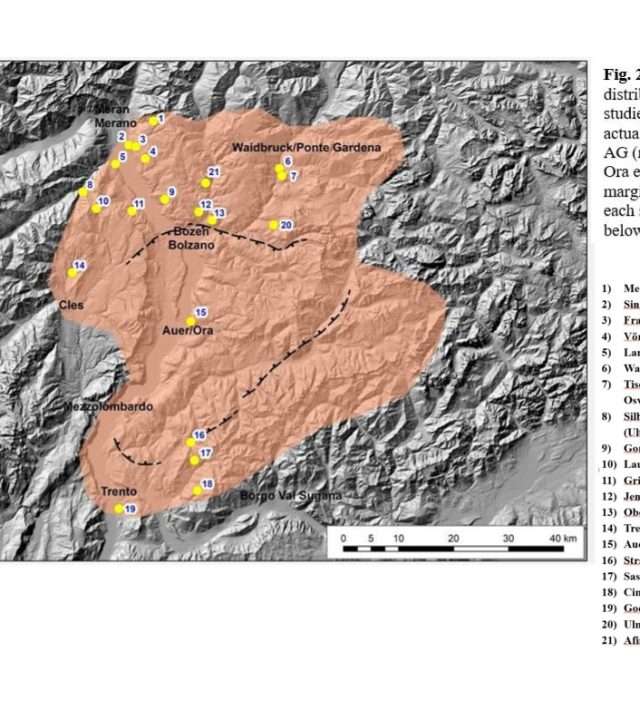 The Bolzano Supervolcano